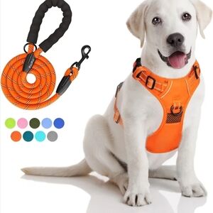Orange Dog Harness and Leash Set